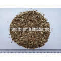 dried and natural milk thistle seed tea bag cut